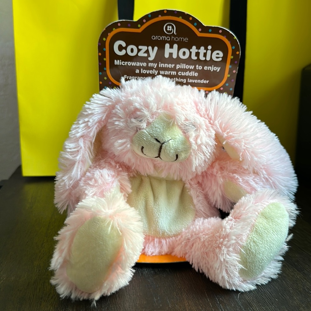 Aroma home cozy hottie